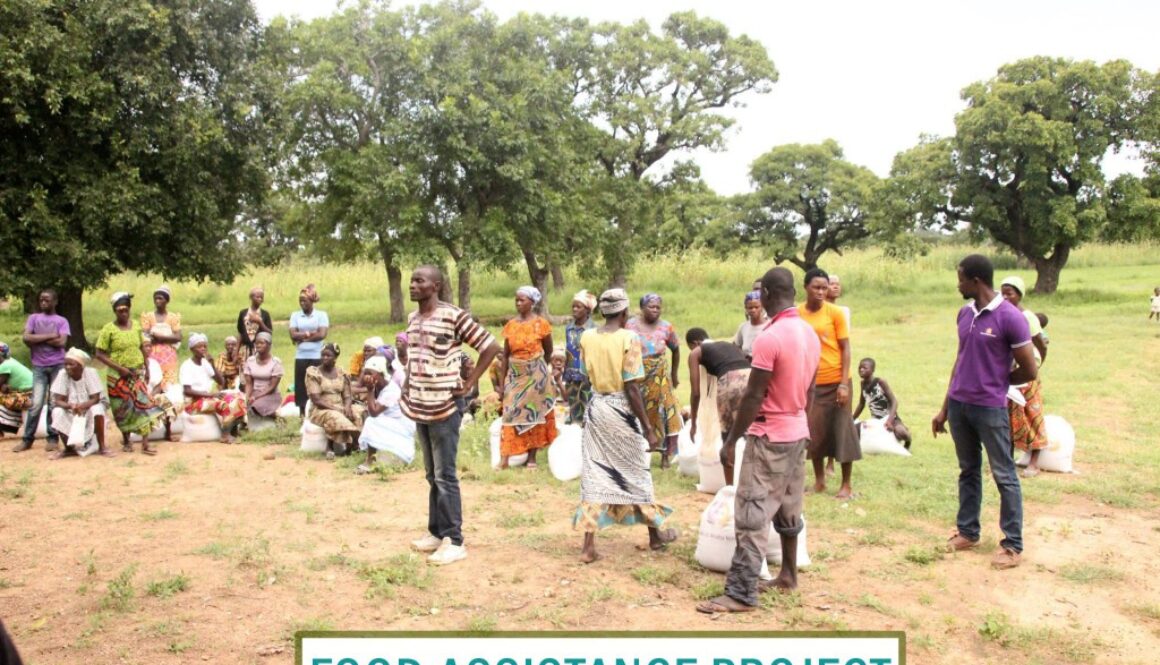 11222047_1042135805818515_8070012380821460755_o