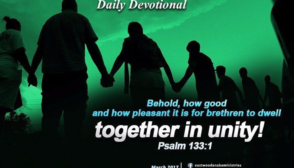 17361822_1578034872237011_3967403551889573776_n