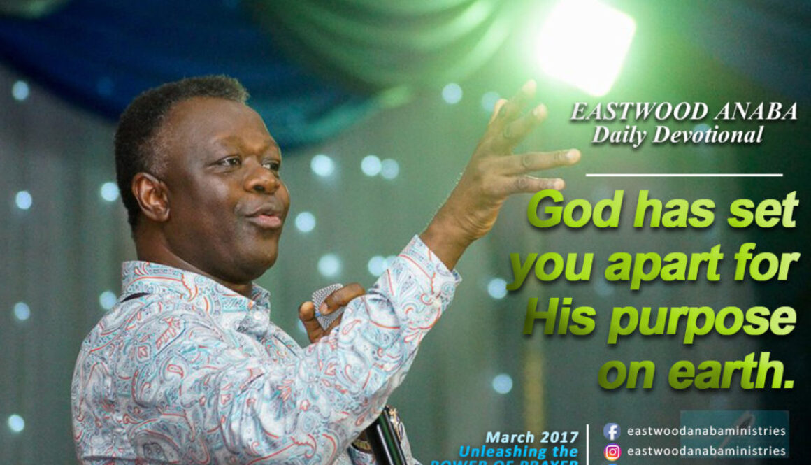 WhatsApp Image 2017-03-30 at 12.42.35 AM