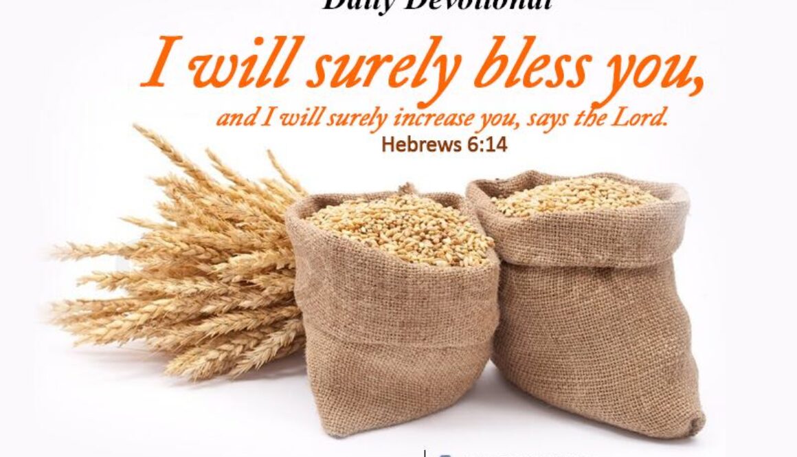 WhatsApp Image 2017-04-02 at 1.06.33 AM