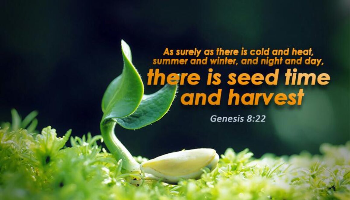 WhatsApp Image 2017-04-11 at 2.21.22 AM