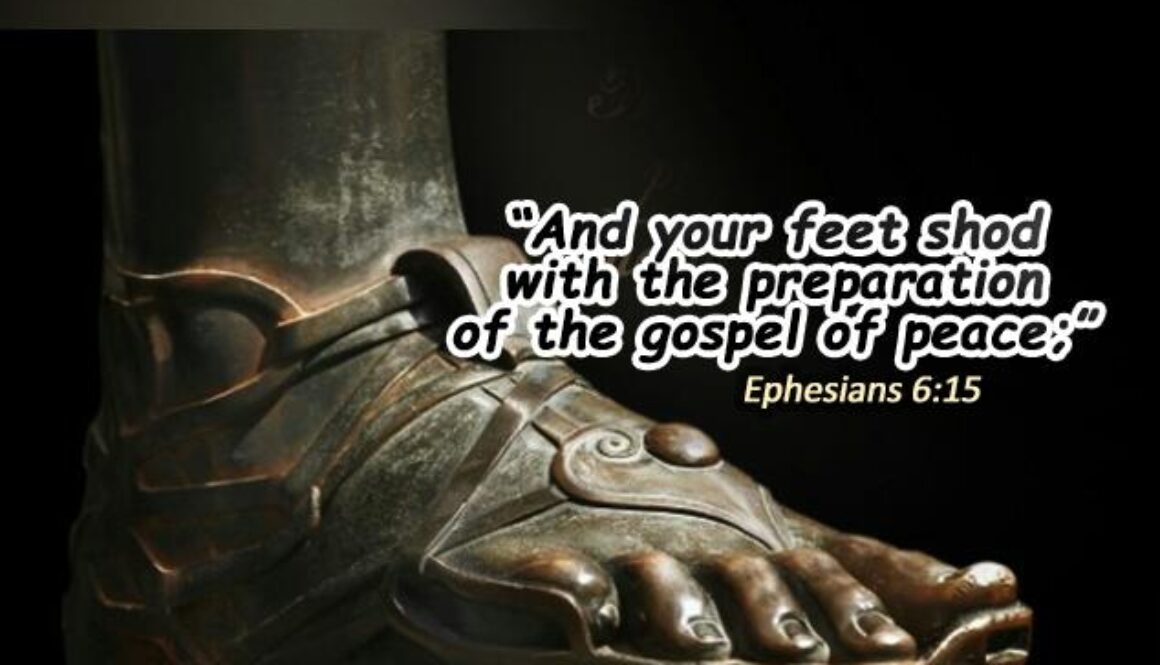 WhatsApp Image 2017-04-16 at 1.14.42 AM