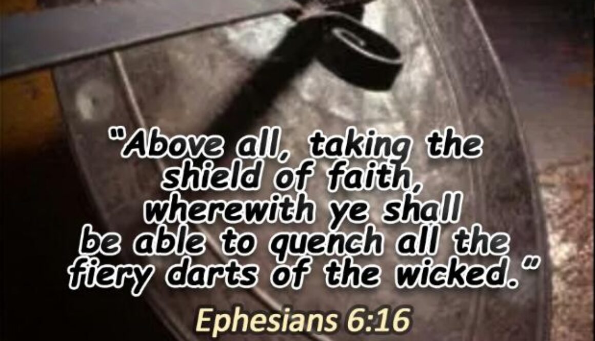 WhatsApp Image 2017-04-17 at 1.24.10 AM