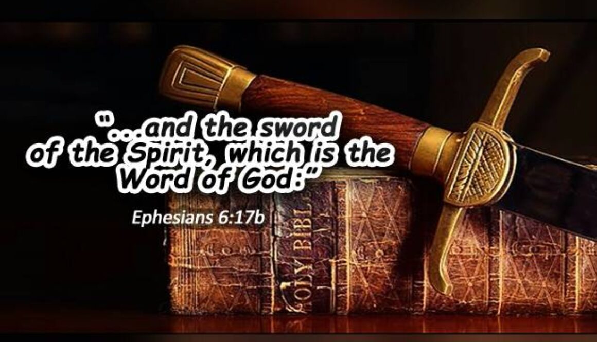 WhatsApp Image 2017-04-19 at 1.22.08 AM