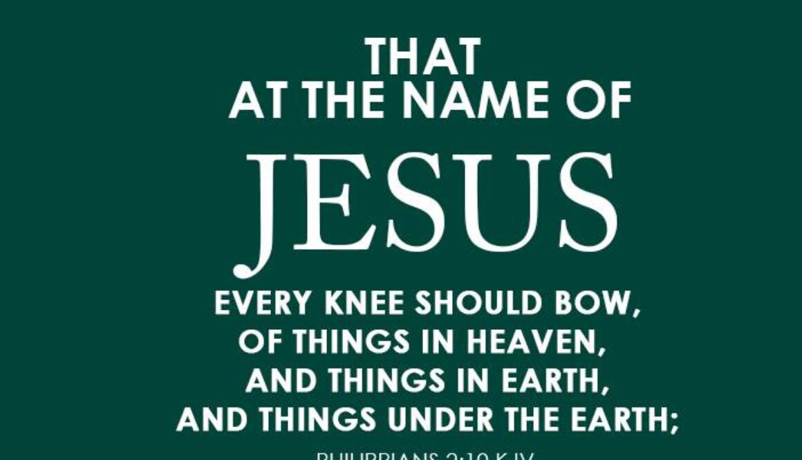 WhatsApp Image 2017-04-21 at 12.19.34 AM