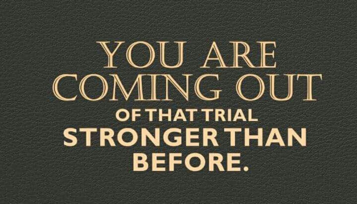 WhatsApp Image 2017-04-25 at 2.09.50 AM