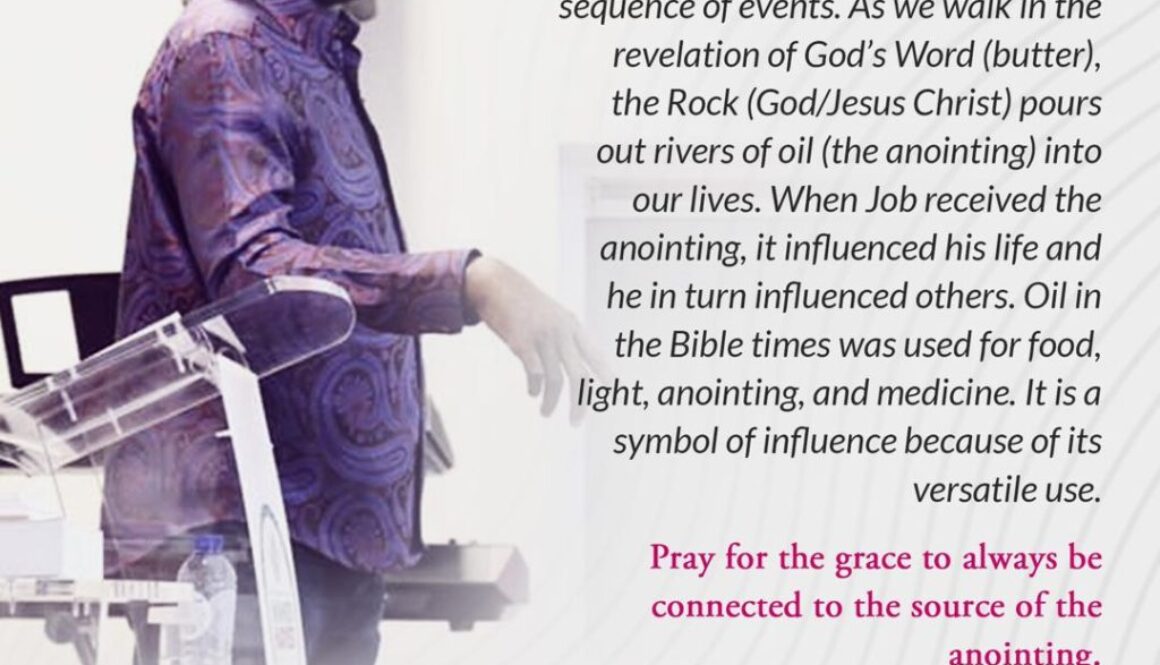 WhatsApp Image 2019-11-28 at 03.09.31